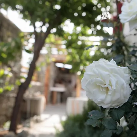 Boriadon Rustic Countryside Homes Naxos City