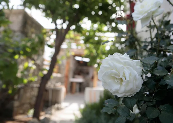 Boriadon Rustic Countryside Homes Vívlos